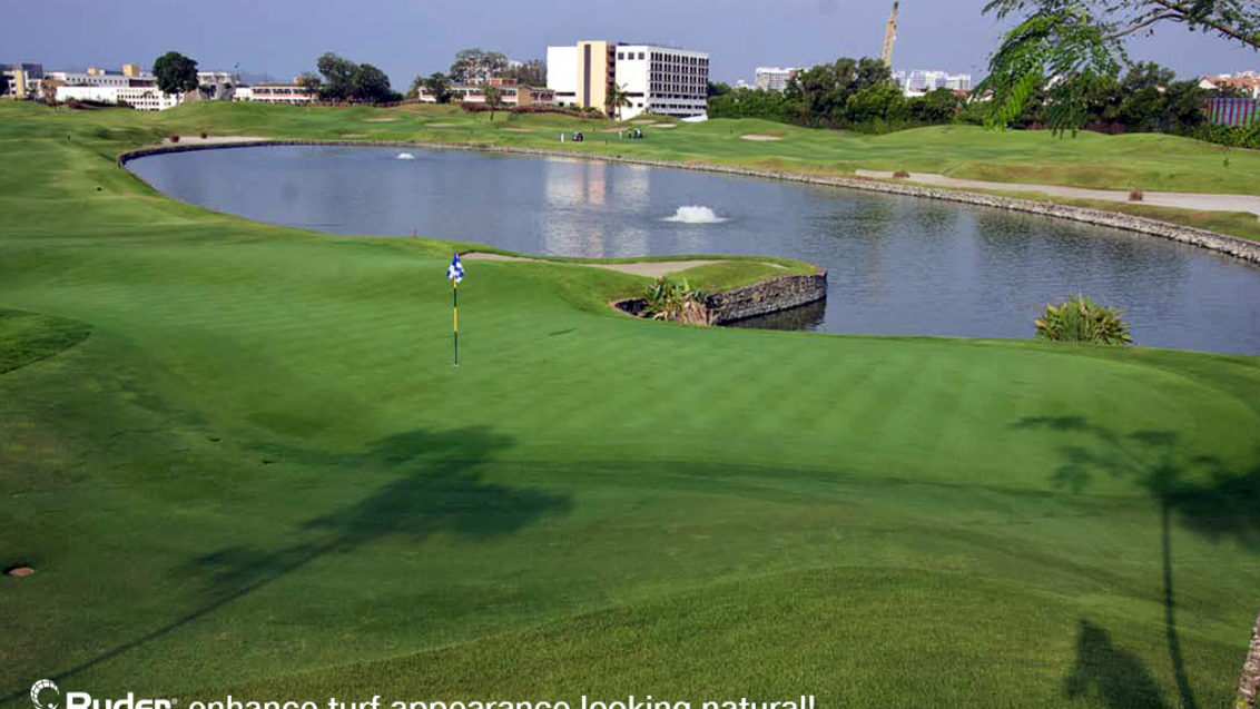 Golf Course_Ryder Pigment