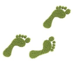 Grass Feet Smaller Carbon Footprint
