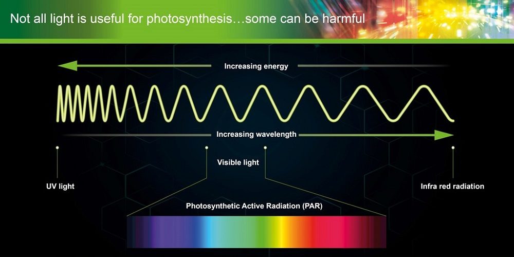 Photosynthetic Active Radiation graphic