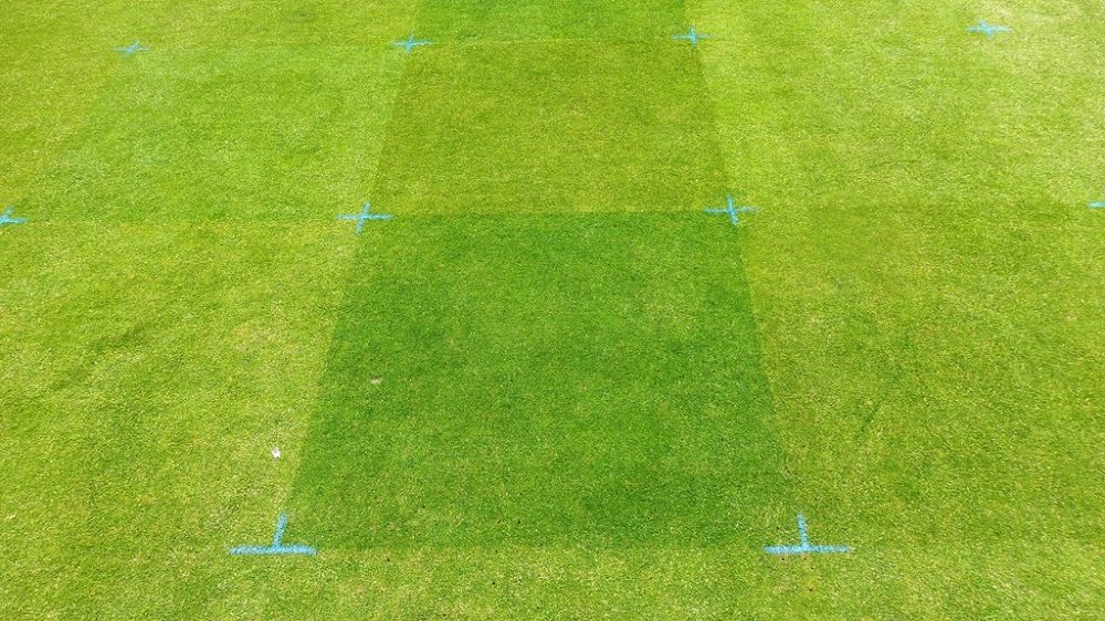 demo patches of turf showing colour difference